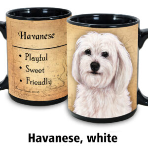 Havanese, White