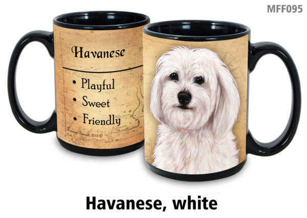 Havanese, White