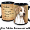 English pointer lemon and white - Image 2