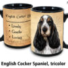english cocker spaniel tricolor - Image 2