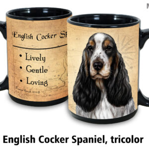 english cocker spaniel tricolor