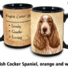 English cocker spaniel orange and white - Image 2