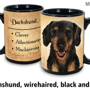 Dachshund wirehair black and tan Mug