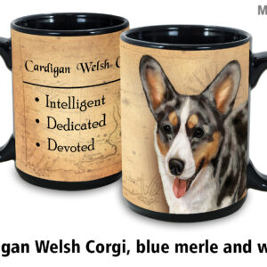 Corgi cardigan welsh blue merle and white