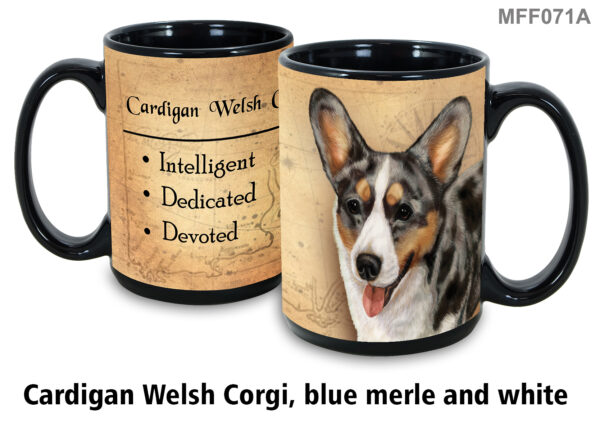 Corgi cardigan welsh blue merle and white
