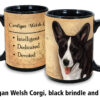 Corgi cardigan welsh black brindle and white - Image 2