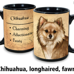 Chihuahua Longhaired, Fawn