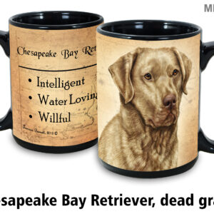 Chesapeake bay retriever dead grass