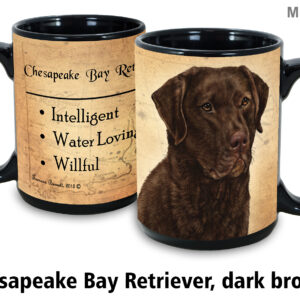 chesapeake bay retriever, Dark Brown
