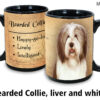 Breaded Collie, Liver and white - Image 2