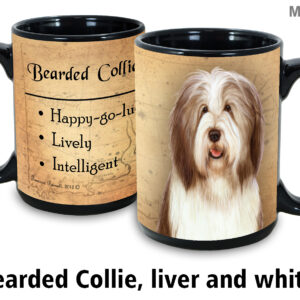 Breaded Collie, Liver and white