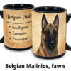 Belgian Malinios, Fawn Mug - Image 2