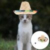 Dog Sombrero Hats - Image 4