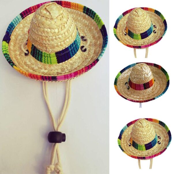 Dog Sombrero Hats