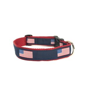 a dog collar with an american flag on it