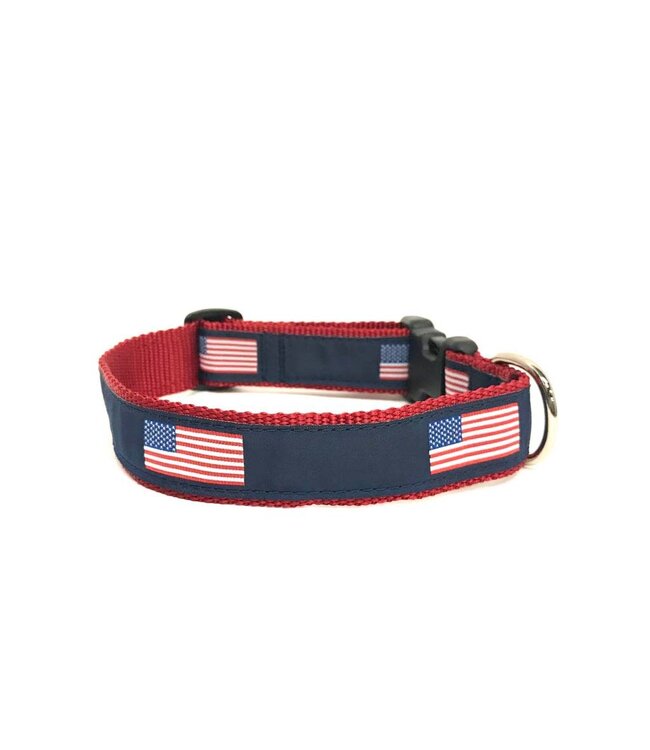 a dog collar with an american flag on it