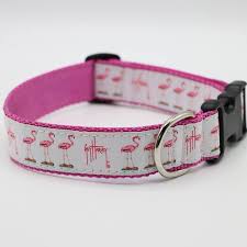a pink and white flamingos dog collar