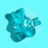 Gummy Bear Cubs - Image 4