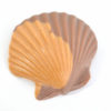 creamy peanut butter and milk chocolate Seashell