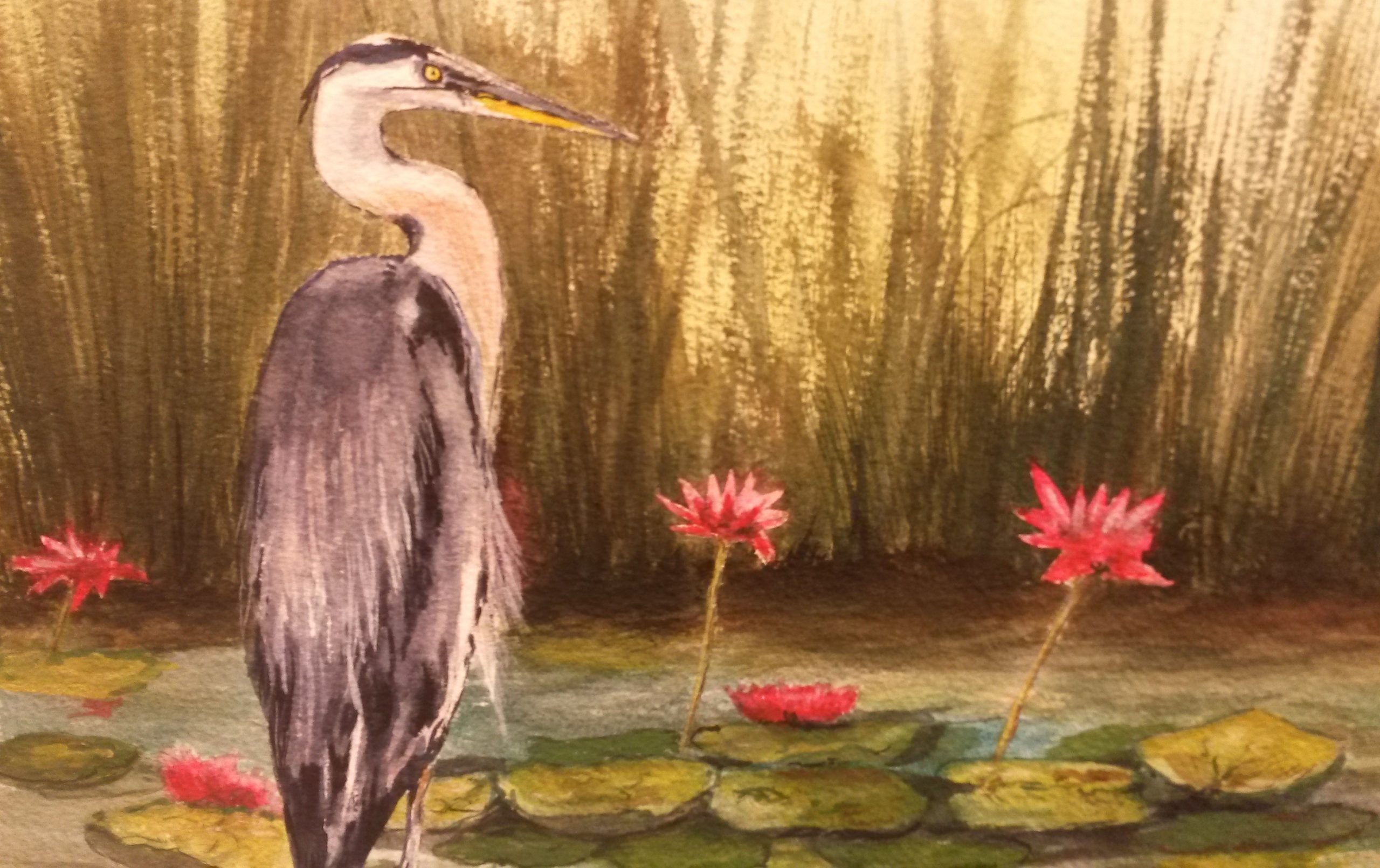 Diana Evans Heron