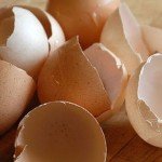 A pile of eggshells lay on a wooden table