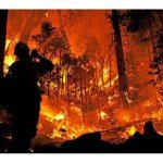 Firefighter taming California fires