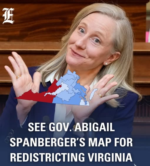 Stop the Steal in Virginia