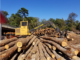 Eastern Shore Forest Products - Tree Harvesting