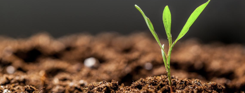 Eastern Shore Forest Products - Soil