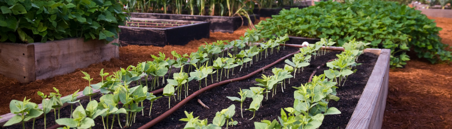 Eastern Shore Forest Products - Soil