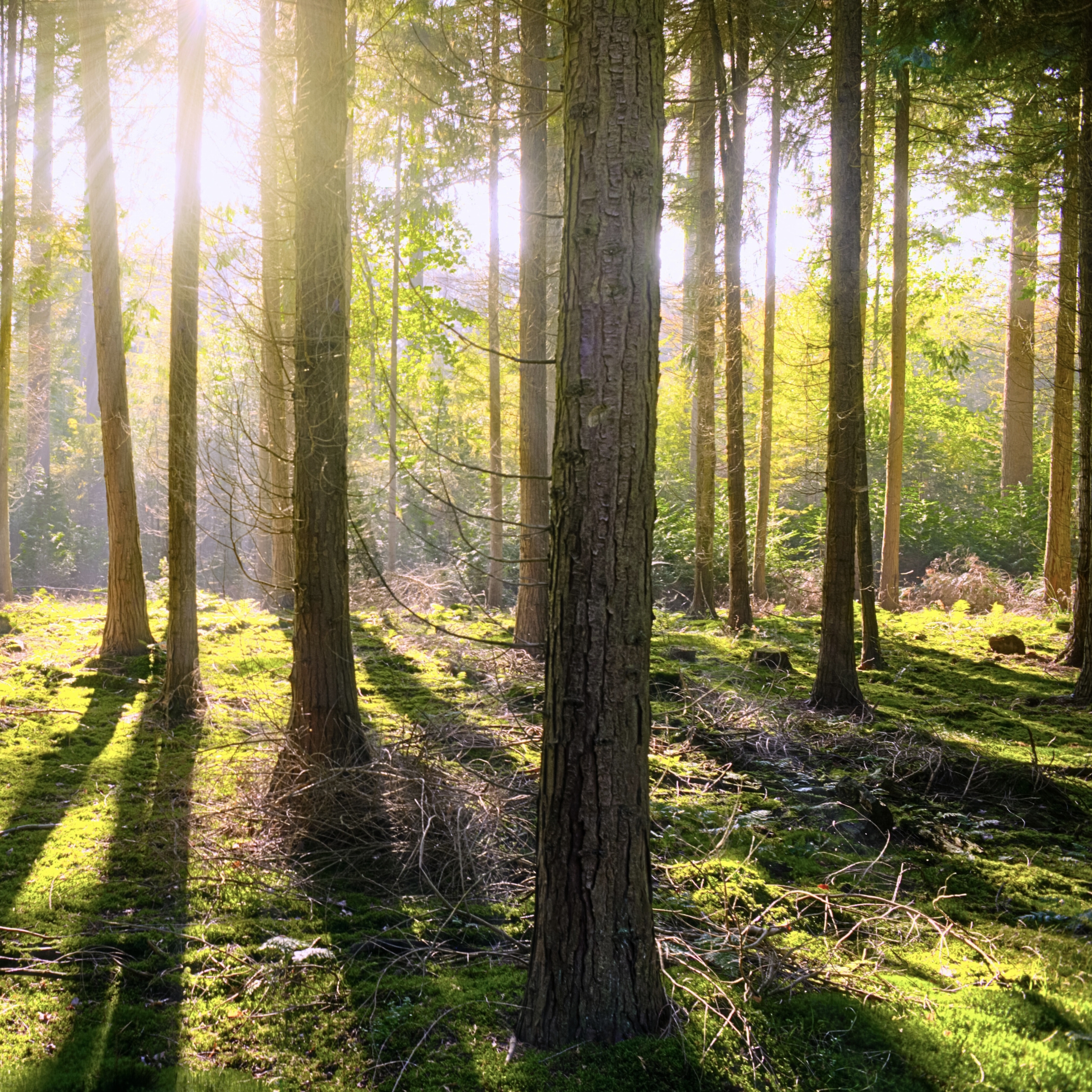 ESFP Website Photos - 24