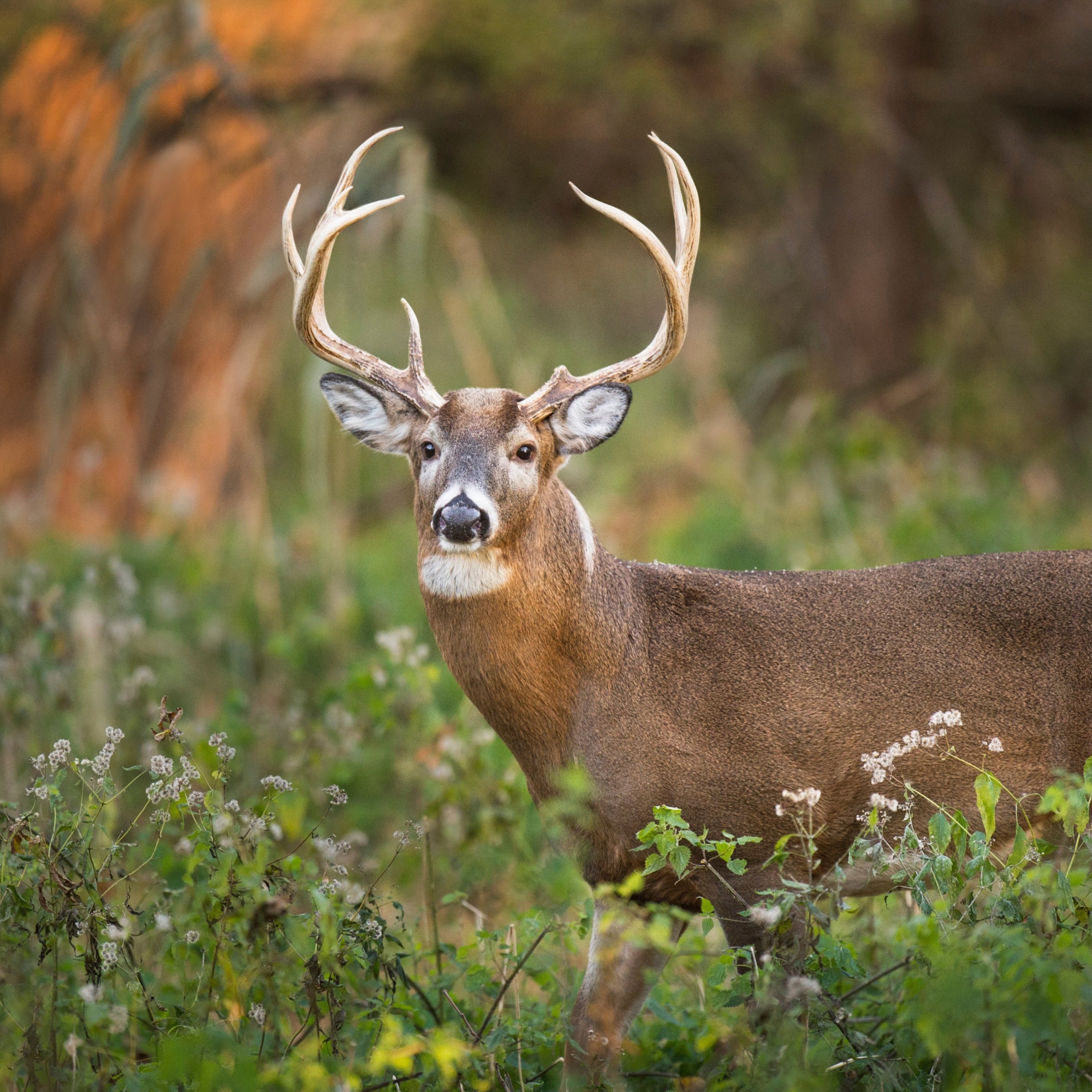 ESFP Website Photos - 20