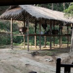 Paradise Mountain Thailand