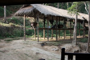 Paradise Mountain Thailand