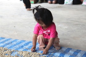Little Girl at Paradise Mountain Coffee Farm
