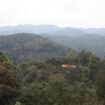 Paradise Mountain Coffee Farm Hills