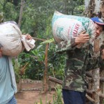 Paradise Mountain Organic Coffee Farm