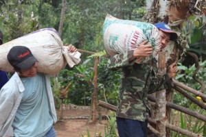 Paradise Mountain Organic Coffee Farm