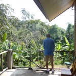 Chiang Mai Thailand Coffee Bean Farm