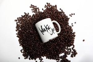 Wake Up with Organic Coffee at The Exoitc Bean