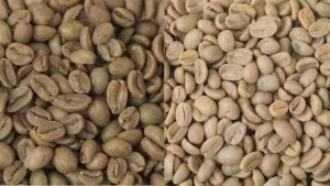 how decaf coffee is made