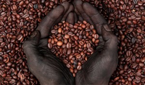 fair trade coffee beans