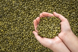 global market coffee economics