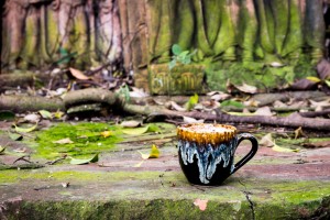 Vietnam Arabica Coffee Bean