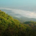 coffee agrotourism