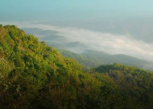coffee agrotourism