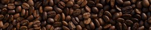 Organic Coffee