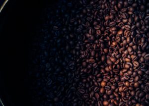 certified bird friendly coffee