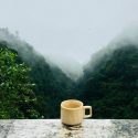 direct trade coffee