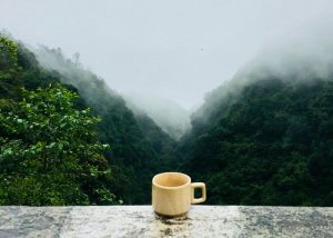 direct trade coffee
